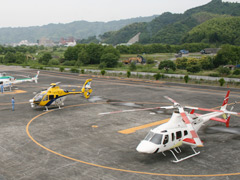 静岡ヘリポート 写真